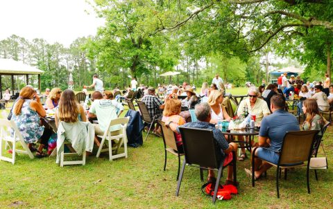 Large crowd enjoying food, drinks, and conversation under the trees during a sunny outdoor event at Gregory Farms Vineyard in Currie NC.