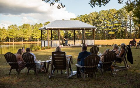 Live music performance at the gazebo overlooking the pond at Gregory Farms Vineyard in Currie NC.